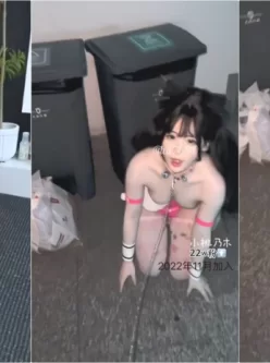 [自行打包] 极品颜值露脸女神想被爸爸调教的小狗，地库露出 刚好有... [35v+353m][百度盘]